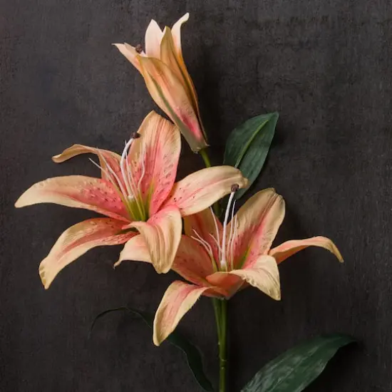 Casablanca Lily Stem by Ashland&reg; Flame {3}
