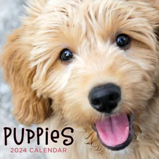 TF Publishing 2024 Puppies Wall Calendar {1}