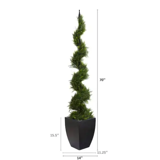 6ft. Cypress Spiral Tree in Black Planter {3}