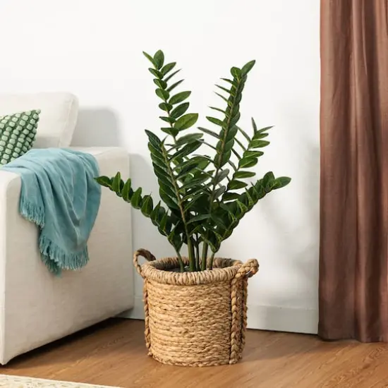 Glitzhome&reg; 2.75ft. Faux Money Tree in Pot {6}