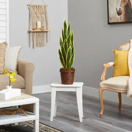 2.5ft. Snake Plant in Decorative Basket Planter {5}