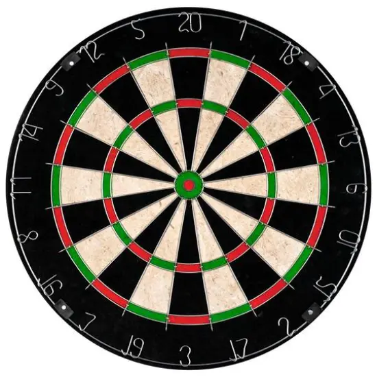 Toy Time 18" Tournament Size Dartboard {1}