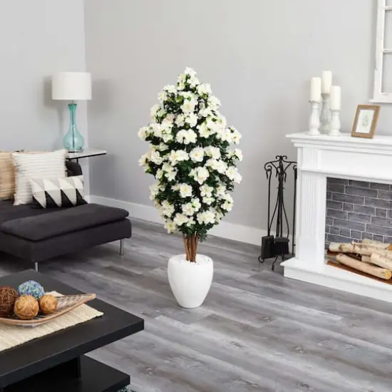 5ft. Azalea Tree in White Planter {4}