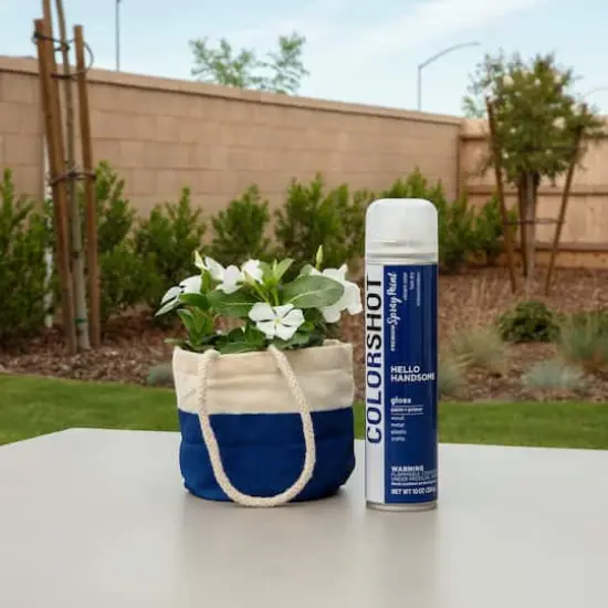 COLORSHOT&reg; Premium Gloss Spray Paint Hello Handsome {6}