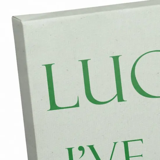 Lucky Me I've Got You 20" x 16" Canvas Wall Art {4}