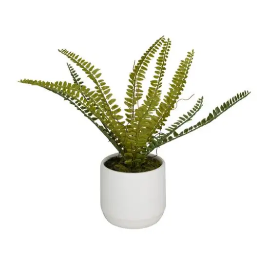 Green Ceramic Contemporary Artificial Foliage, 12" x 15" x 10" {6}
