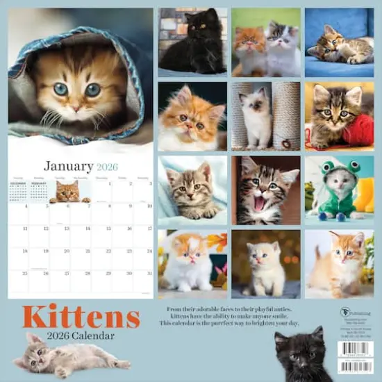 2026 Kittens Wall Calendar {6}