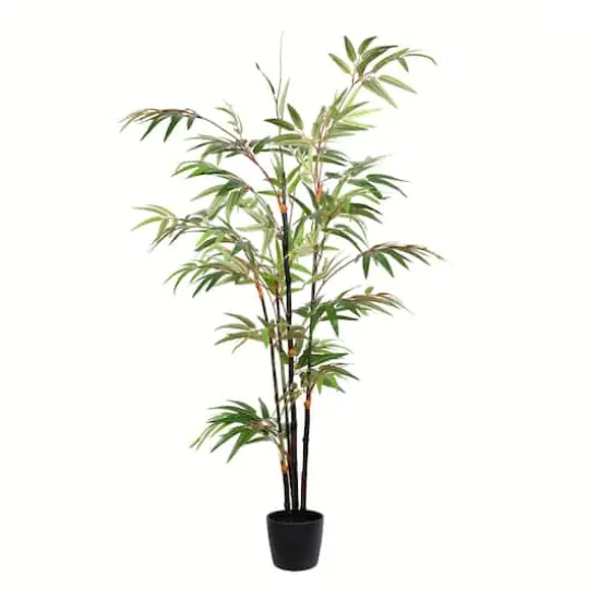 4ft. Potted Black Japanese Bamboo Tree {1}