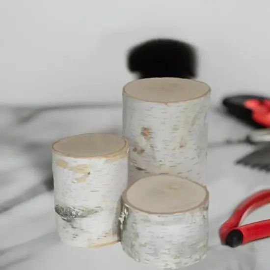 Wilson&reg; Enterprises Birch Pillar Set {3}