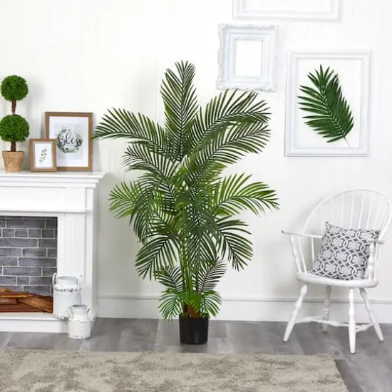 5.5ft. Potted Areca Palm Tree {4}