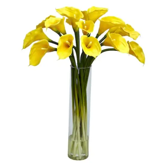 2ft. Yellow Calla Lily in Cylinder Vase {1}