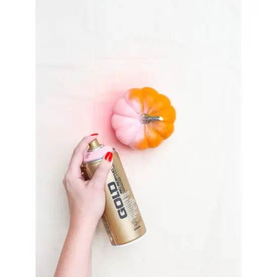 Montana&trade; Gold Acrylic Professional Spray Paint G3000 Lychee {5}