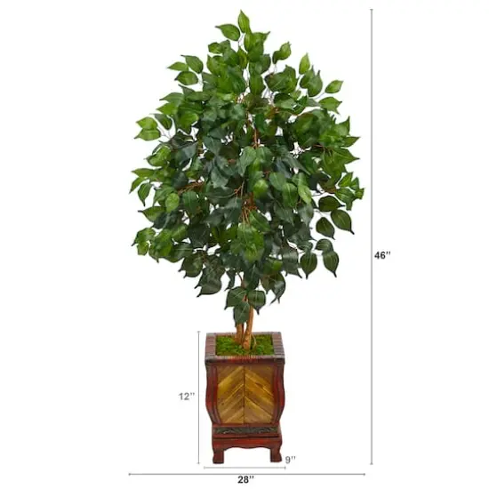 4ft. Ficus Tree in Decorative Planter {3}