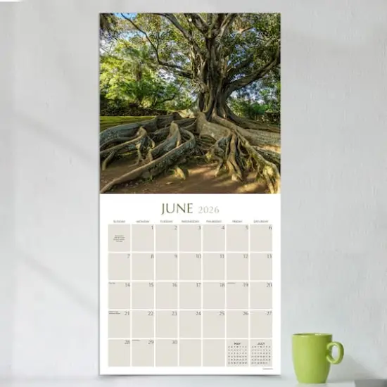 2026 Trees Wall Calendar {4}
