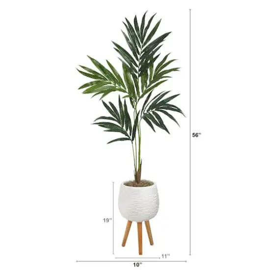5ft. Kentia Palm Tree in White Planter with Stand {3}