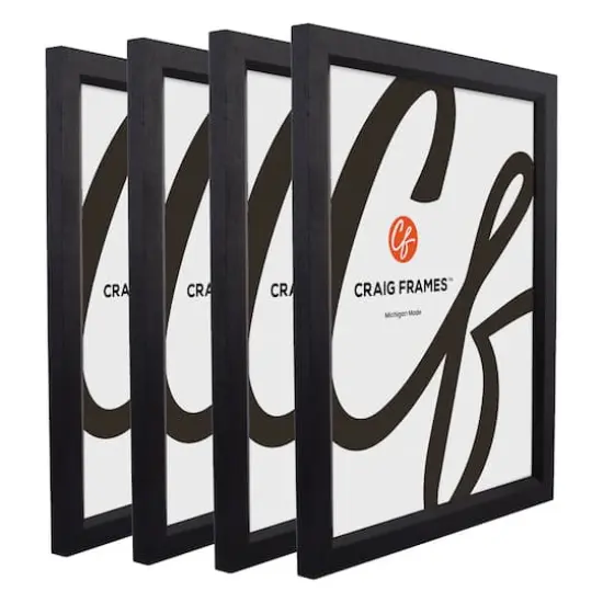 4 Pack: Craig Frames Economy Ebony Hardwood Picture Frame {6}