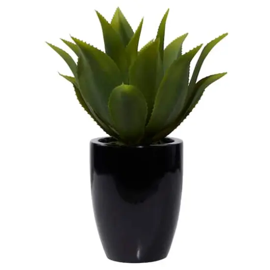 22" Potted Contemporary Succulent Artificial Foliage {3}
