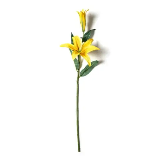 Casablanca Lily Stem by Ashland&reg; Yellow {1}