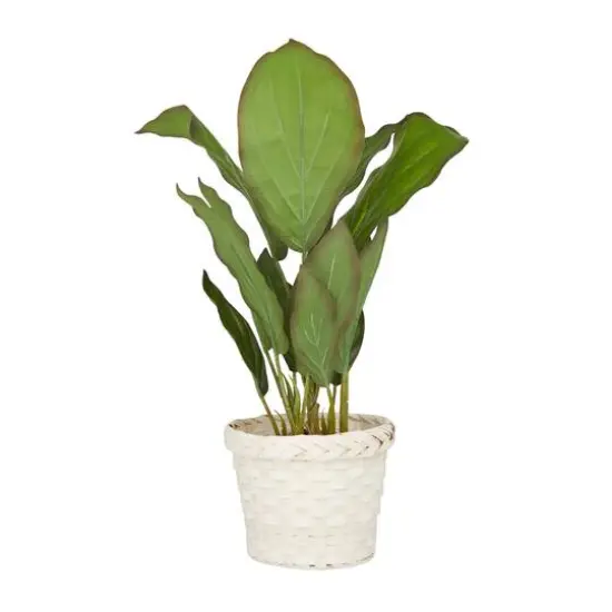 2ft. Coastal Style Artificial Foliage in White Bamboo Pot {6}