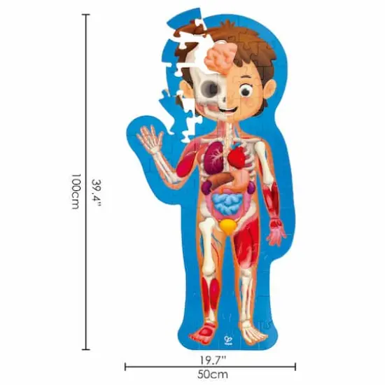 Hape Human Body Oversize Educational Puzzle {4}