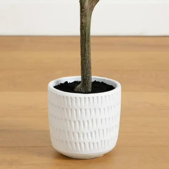 4ft. Autumn Birch Artificial Fall Tree in White Decorative Planter {7}