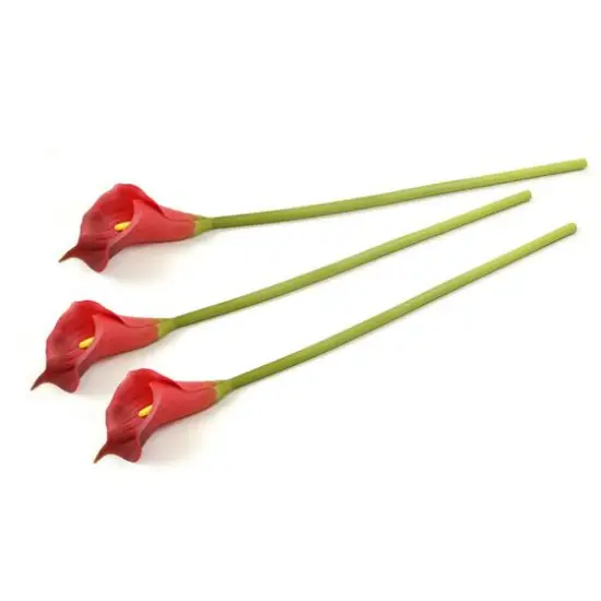 DII&reg; Red Flower Cala Lily Set, 3ct. {1}