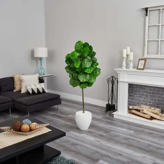5ft. Fiddle Leaf Tree with White Planter {5}