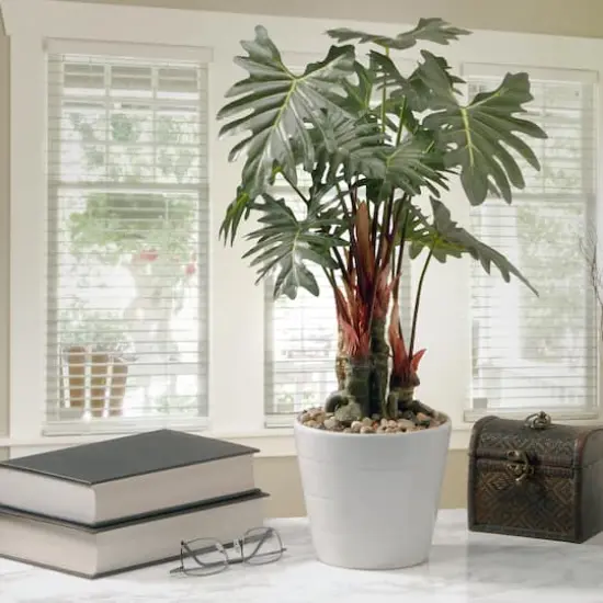 21" Garden Accents Philodendron Flower {3}