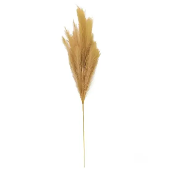 Wispy Pampas Grass Stem by Ashland&reg; {5}