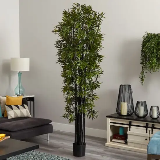 7ft. Potted Bamboo Tree with Black Trunks {3}