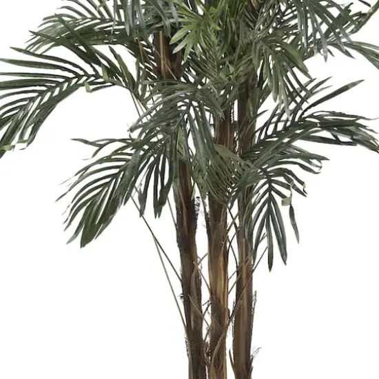 5ft. Potted Robellini Palm Tree {4}