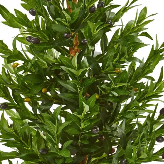 3.5ft. Olive Cone Topiary Tree in White Planter {3}