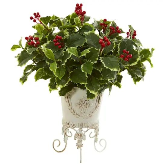 19" Variegated Holly Plant in Metal Planter {1}