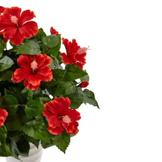 22" Hibiscus Flowering Plant in Swirl Planter {4}