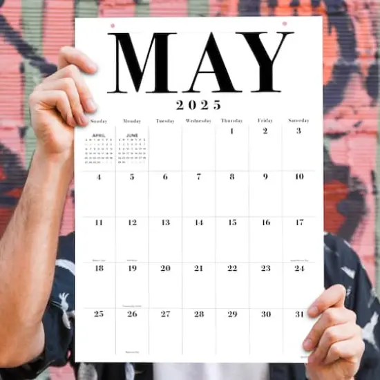 TF Publishing Medium 2025 Art Poster Wall Calendar {3}