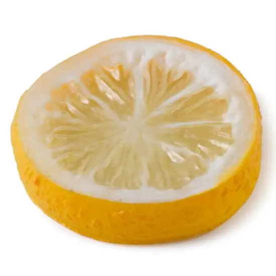 Assorted Fruit Slice D&eacute;cor Accent by Ashland&reg; {8}