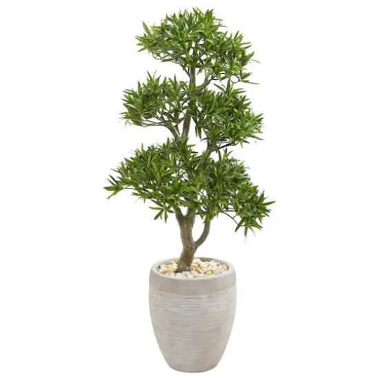 3.5ft. Bonsai Tree in Sandstone Planter {1}