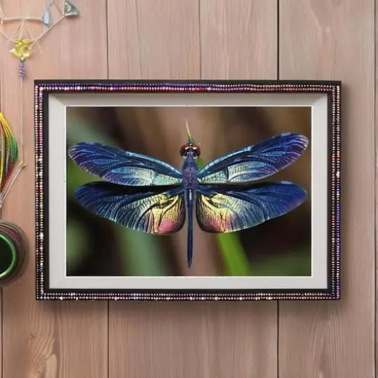 Sparkly Selections Dragonfly 40cm x 50cm Diamond Painting Kit, Round Diamonds {1}