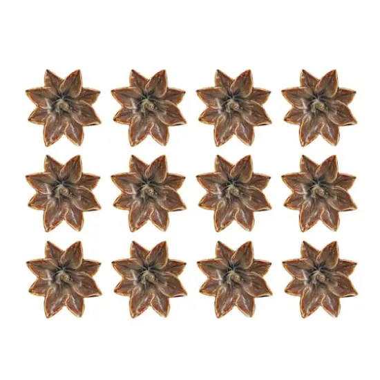 Hello Honey&reg; 5" Multicolor Rustic Glaze Stoneware Flower Plate, 12ct. {1}