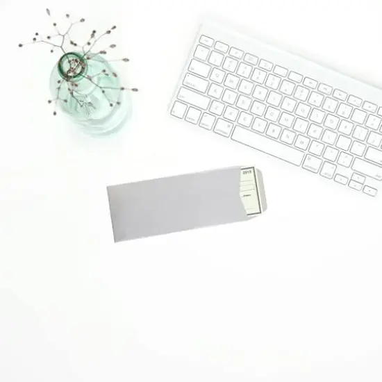 JAM Paper #10 Policy Metallic Business Envelopes, 25ct. Silver Stardream {5}