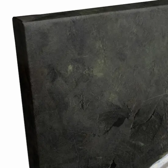 White Rustic Patriotic Barn II Canvas Wall Art {4}