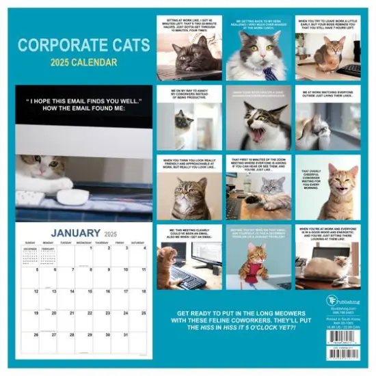 TF Publishing 2025 Corporate Cats Wall Calendar {3}