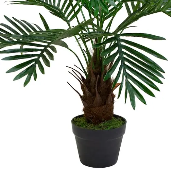 3ft. Potted Green Palm Plant {5}