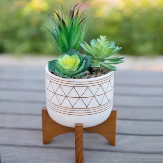 Flora Bunda® 5" Faux Succulents In Gold Paint Ceramic Footed Stand {4}