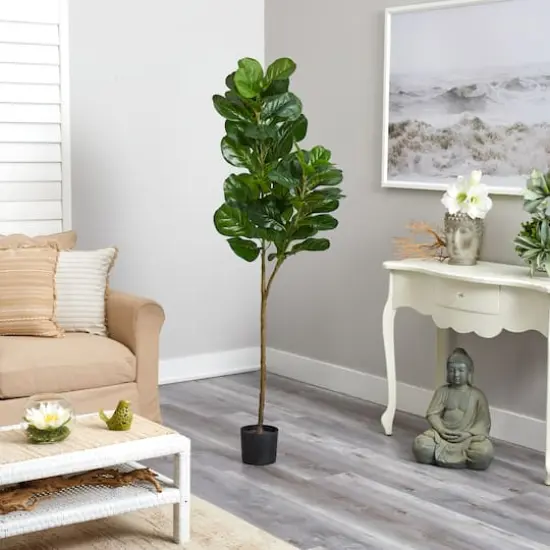 5.5ft. Potted Fiddle Leaf Fig Tree {5}
