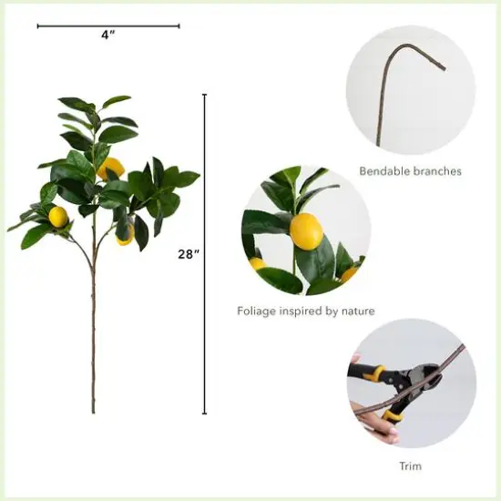 28" Lemon Branch Stems, 3ct. {5}