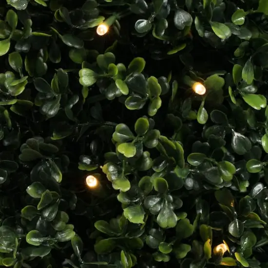 5ft. Pre-Lit Potted Boxwood Cone {3}