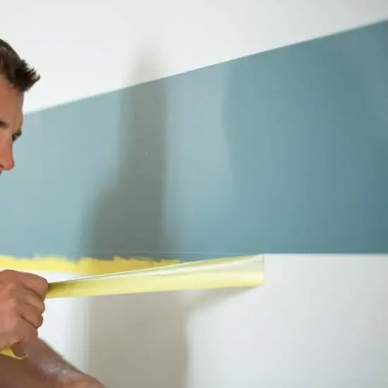 FrogTape&reg; Delicate Surface Painter's Tape {6}