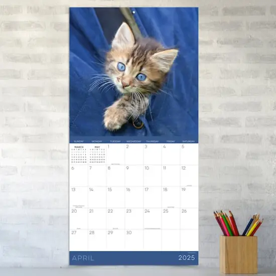 TF Publishing 2025 Kittens Wall Calendar {4}