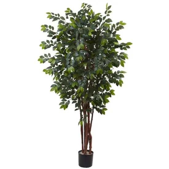 7ft. Potted Sakaki Silk Tree {1}
